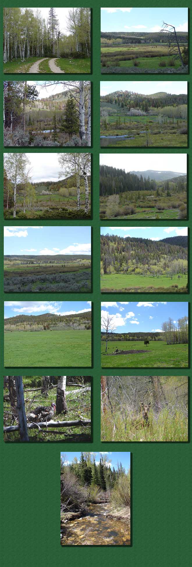 Stewart Ranch - Saratoga Wyoming