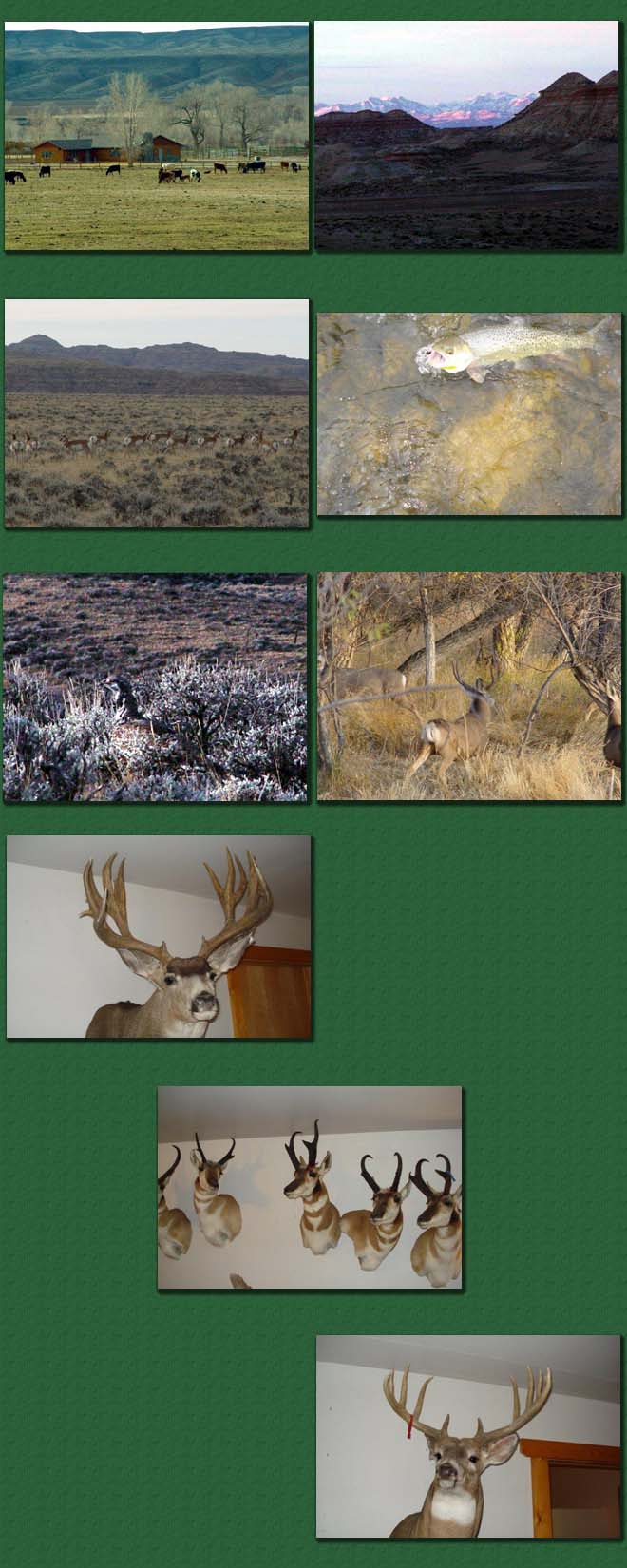 Greybull River Ranch Meeteetse, Wyoming