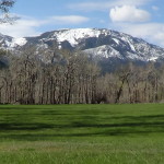 West Fork Ranch 5