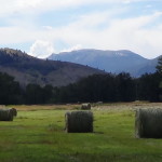 West Fork Ranch 3