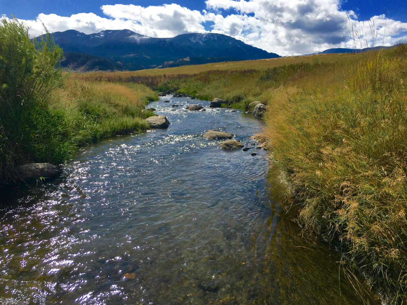 Little Rocky Creek 1