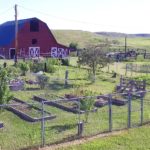 White Deer Ranch 24